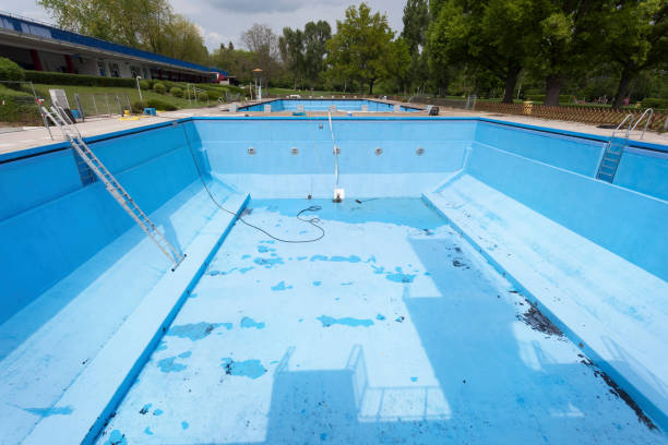 Best Professional water damage repair  in Fort Llins, CO