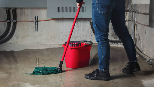 Best Local water damage restoration  in Fort Llins, CO