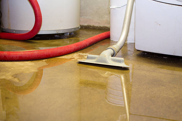 Best Water damage contractors near me  in Fort Llins, CO