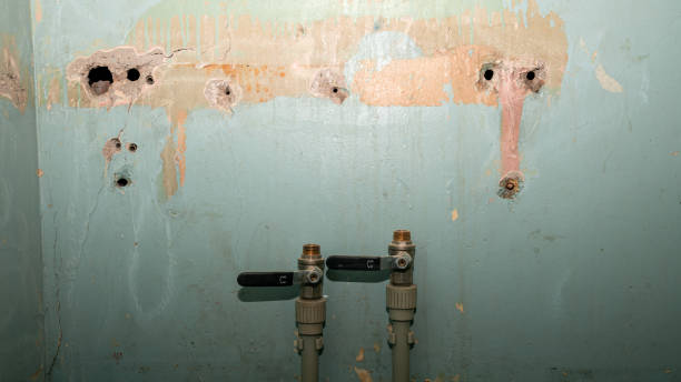 Best Flood damage cleanup  in Fort Llins, CO
