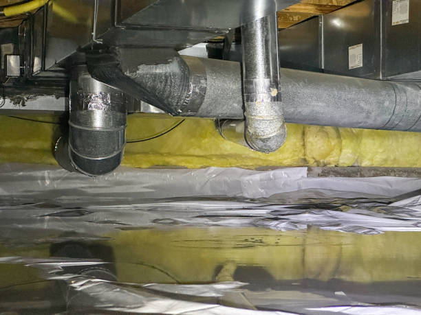 Best Water damage cleanup near me  in Fort Llins, CO