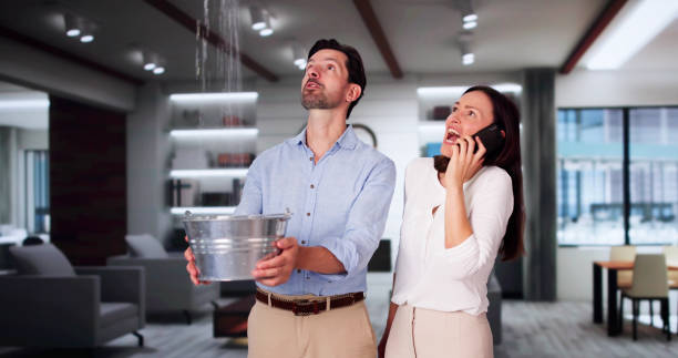 Best Basement water damage restoration  in Fort Llins, CO